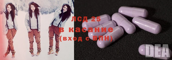 СК Михайлов