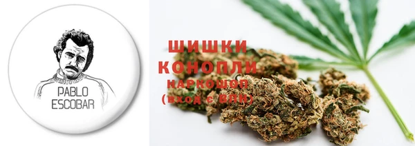 СК Михайлов