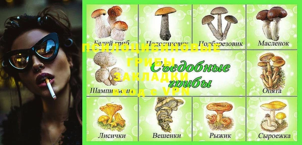 СК Михайлов