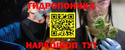 наркотики Кингисепп