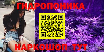 наркотики Кингисепп