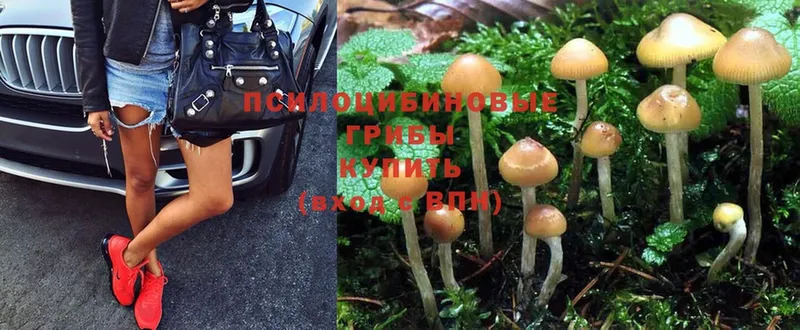 Галлюциногенные грибы MAGIC MUSHROOMS  МЕГА маркетплейс  Полысаево 