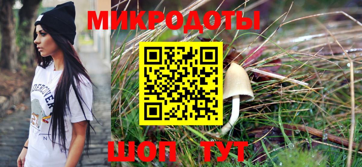 Галлюциногенные грибы Psilocybe  Вход с VPN  Полысаево 